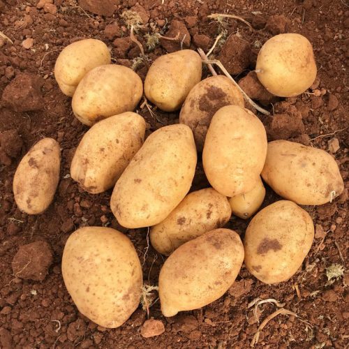 Comprar patatas Fábula